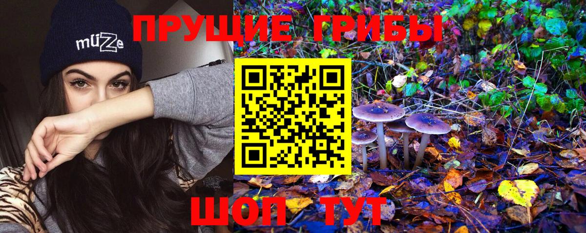 Галлюциногенные грибы Magic Shrooms  Галлюциногенные грибы MAGIC MUSHROOMS  Королёв  Вход с VPN 